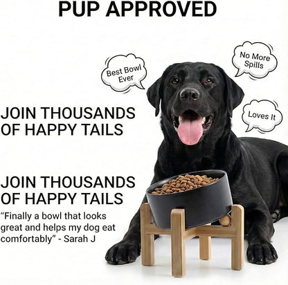 hjn Elevated Ceramic Dog Bowl 15°Slanted Raised Dog Bowl with Bamboo Stand for Small Medium Dogs and Cats, Pet Feeder -7.6-Cup (1800ml)-Black