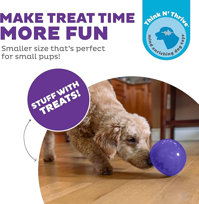 Outward Hound by Planet Dog Lil' Snoop Dog Toy – Treat‑Dispenser Puzzle Ball, Interactive Slow Feeder, Small to Medium Dogs, Bouncy & Mint-Infused, Purple, 3.9"