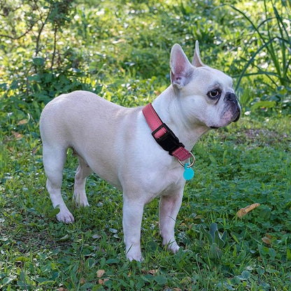 Reflective Dog Collar Padded with Soft Neoprene Breathable Adjustable Nylon Dog Collars for Small Medium Large Dogs (Large (Pack of 1), Pink Collar+Leash)
