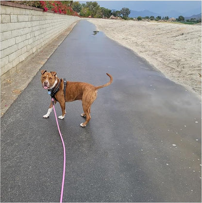 MayPaw Heavy Duty Rope Dog Leash, 3/4/5/6/7/8/10/12/15 FT Nylon Pet Leash, Soft Padded Handle Thick Lead Leashes for Large Medium Dogs (Pink-Blue dot, 1/2" * 8')