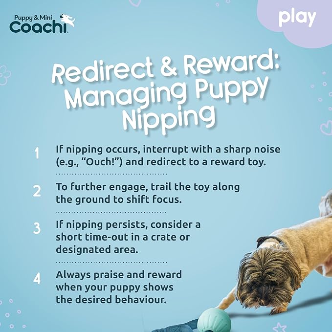 Coachi Puppy & Mini Tuggi Ball - Lightweight, Tough Dog Toy, Stretchy Bungee Handle, Reward Training, Agility, Recall, Interrupt Biting & Chewing, Suitable for Small Dogs & Puppies