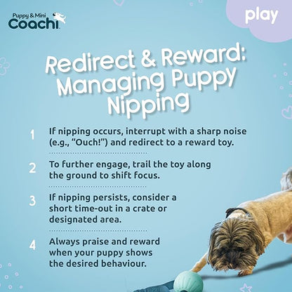 Coachi Puppy & Mini Tuggi Ball - Lightweight, Tough Dog Toy, Stretchy Bungee Handle, Reward Training, Agility, Recall, Interrupt Biting & Chewing, Suitable for Small Dogs & Puppies