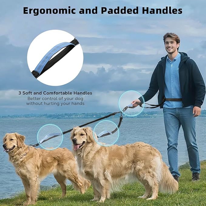 Hands Free Dog Leash, Waist Leash for Dog Walking 2 Dogs, Double Hands Free Lead with Detachable Waist Pad, Padded Handles, Shock Absorbing Bungee for Walking Jogging Hiking, Blue&Black