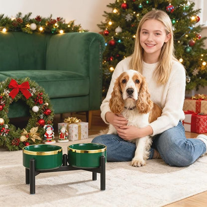 Ceramic Elevated Dog Bowl Set - Dog Feeder Station with Double Bowls for Small and Medium Size Breed - Non-Slip Raised Dish for Food and Water Feeding- 6 Inch - 3.5 Cups / 22 fl oz - Green
