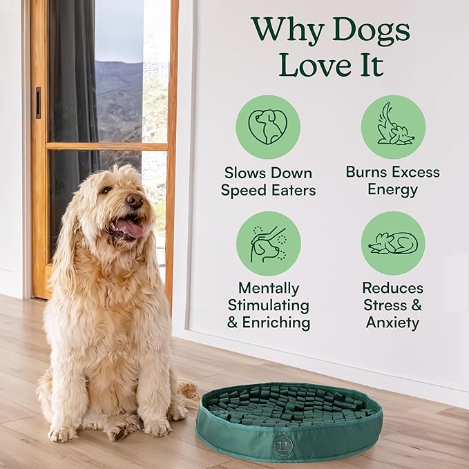 Reggie Stimulating Feeding Mat for Dogs, for Dog Calming Support, Reducing Speed Eating, and Mental Stimulation, 20" Large Diameter, Hunter Green