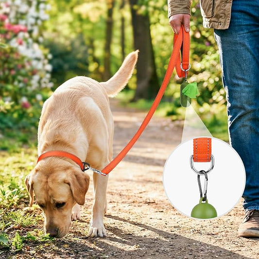 Joytale Dog Leash, 5 FT Double-Sided Reflective, Padded Handle Nylon Heavy Duty Leashes for Medium & Large Dogs Walking, Orange