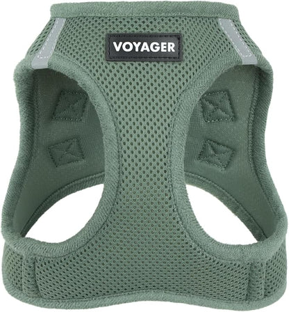 Best Pet Supplies Voyager Step-in Air Harness - All Weather Mesh, Reflective, No Pull Harness for Dogs, Cats - Secure with Hook & Loop Fastener, Buckle, Double D-Rings - Moss Green, XXXS