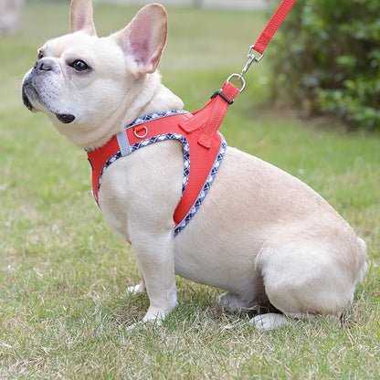 Mercano Soft Mesh Dog Harness and Leash Set, No-Chock Step-in Reflective Breathable Lightweight Easy Walk Vest Harnesses with Safety Buckle for Small Dogs, Cats (Red, S)