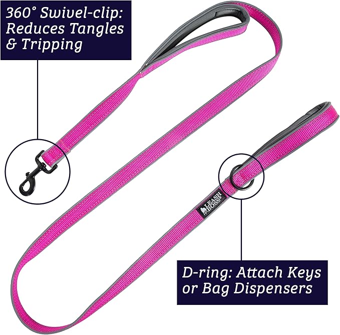 Double Handle 6 Foot Reflective Leash with Padded Handle - Pattern Collection