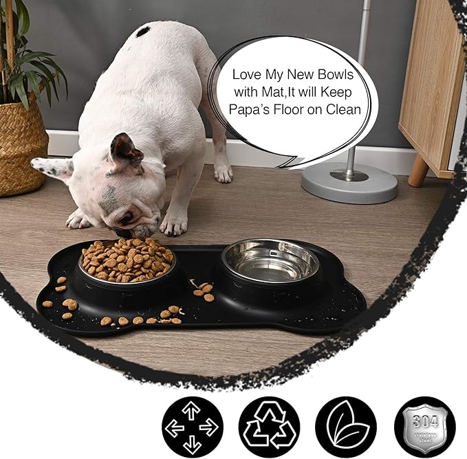 Dog Bowls 2 Stainless Steel Bowl for Pet Water and Food Feeder with Non Spill Skid Resistant Silicone Mat for Pets Puppy Small Medium Cats Dogs