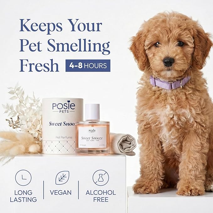 Dog Cologne Spray with Long Lasting Jasmine, Musk, and Vanilla Scent - Vegan Alcohol-Free Pet Deodorizer for Smelly Dogs - Water-Based Luxury Puppy Grooming Fragrance - Sweet Snooze 3.4FlOz