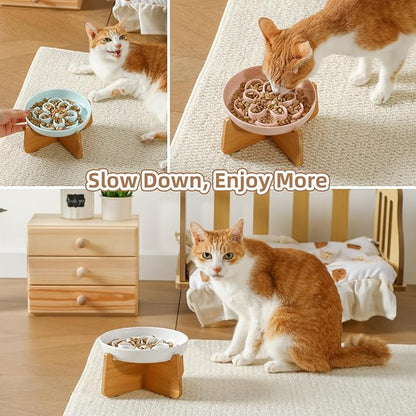 Elevated Slow Feeder Cat Bowl - Melamine Cat Dish with Anti-Slip Bamboo Stand - Whisker Friendly Feeding Bowl - Floral Maze Food Plate for Slow Eating - Green