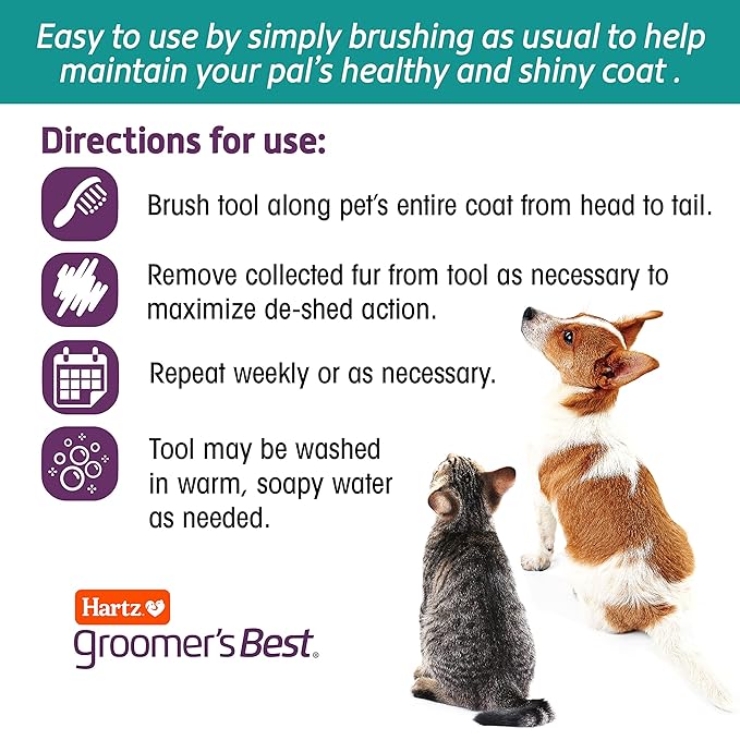 Hartz Groomer's Best Small Slicker Brush for Cats and Small Dogs, Black/Violet, 1 Count (Pack of 2)