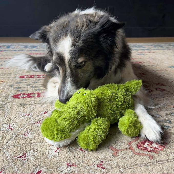 KONG Cozie Plush Dog Toys 2 Pack – Durable & Soft Squeaky Toys for Medium Dogs – Assorted Animal Characters (Ali The Alligator)