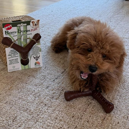 SPOT Bam-Bones Plus Tripod, Bamboo Fiber & Nylon Dog Chew, Durable for Moderate to Aggressive Chewers, Non-Splintering, for Adult Dogs & Teething Puppies Under 50lbs, 5inch, Bison Flavor
