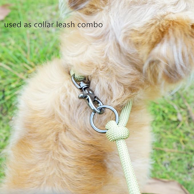 8FT Hands Free Dog Rope Leash, Waist Body Running Leash for Dog Walking (Air Blue, 8FTx10MM)