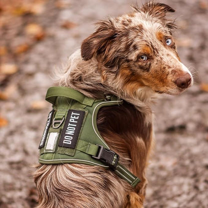 rabbitgoo Dog Harness for Large Dogs No Pull, Tactical Service Pet Vest with Molle and Control Handle, Adjustable and Reflective Military Harness for Easy Walking and Training, Green, XL