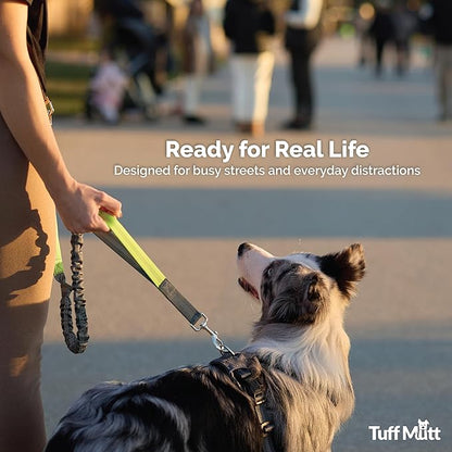 Tuff Mutt Hands Free Dog Leash for Walking Running Hiking, Waist Leash with Bungee, Adjustable Belt, Reflective Double Handle Design for Large Medium Dogs