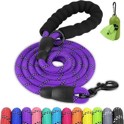 Joytale Dog Leash for Large Dogs, Heavy Duty Nylon Leashes with Comfortable Padded Handle and Highly Reflective Threads, Ideal for Walking and Training, Purple, 5'×1/2''