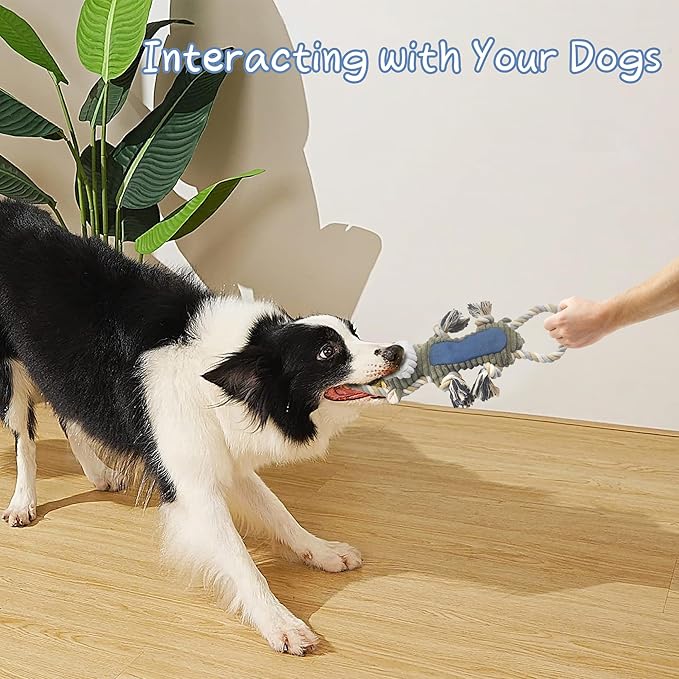 Dog Toys for Large Dog - Plush Squeaky Medium & Small Dog Toys (3pack Monkey & Patypus)