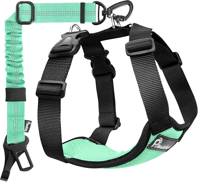Pawaboo Dog Seat Belt Harness for Car, Dog Car Harness Seatbelt with Double Clips, Adjustable Breathable Pet Vest & Dogs Safety Tether with Elastic Bungee for Small Medium Large Pet, S, Blue + Black