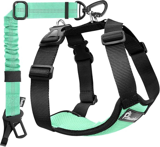 Pawaboo Dog Seat Belt Harness for Car, Dog Car Harness Seatbelt with Double Clips, Adjustable Breathable Pet Vest & Dogs Safety Tether with Elastic Bungee for Small Medium Large Pet, S, Blue + Black