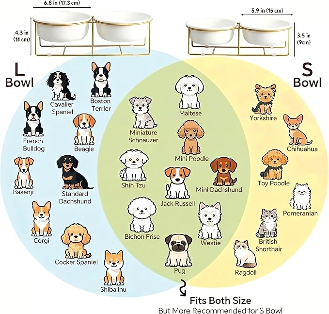 Elevated Dog Bowls for Food and Water - Double Ceramic Bowls with Metal Stand - Raised Feeding Station for Small and Medium Dogs - Each Holds 600ml / 3.2 Cups (Approx. 320g) - White