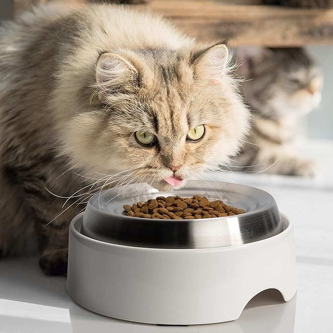 CatGuru Cat Bowls, Whisker Friendly Food Bowl for Indoor Cats, Reliefs Whisker Fatigue, Wide Kitten Dish, Non Slip Pet Dishes, Shallow Pet Plates (Stainless Steel)