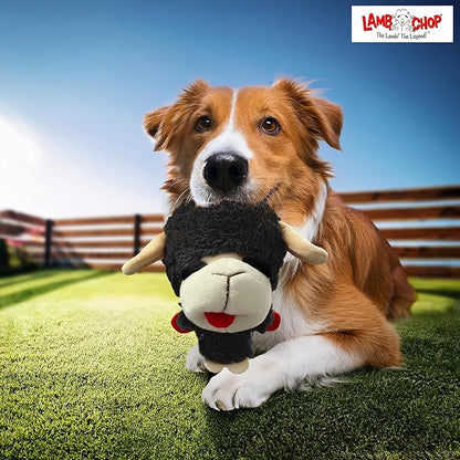 Multipet Knobby Noggins Dog Toy Lamb Chop | Lambchop Knobby Noggins Knobby | Noggins Squeaky Dog Toy Plush | 5" | Small/Medium Breed | Officially Licensed (Black)