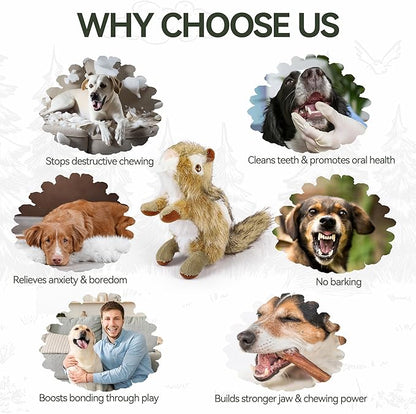 ALL FOR PAWS Squirrel Squeaky Doy Toy, Squirrel Dog Toy for Small Medium Breed, Puppy Fetch Toy with Squeaker, Plush Chew Dog Toy, 5.9 x 4.3 x 2.8 inches, Classic-Chipmunk S