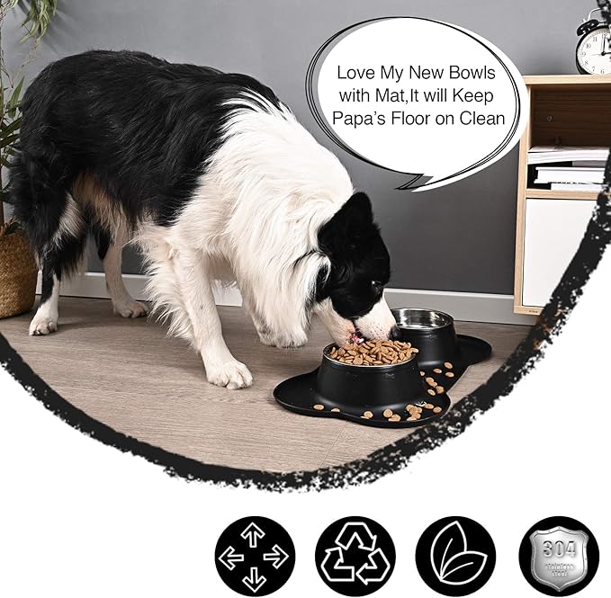 Dog Bowls 2 Stainless Steel Bowl for Pet Water and Food Feeder with Non Spill Skid Resistant Silicone Mat for Pets Puppy Small Medium Cats Dogs