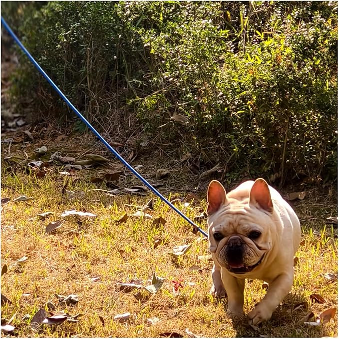 MayPaw Slip Lead Control Leash for Dogs No Pull, 13+ Colors Classic 7 FT Pet Dog Slip Leash, 1/4” Rope Leashes for Small Medium Animals (7ft*1/4", Dark Blue)