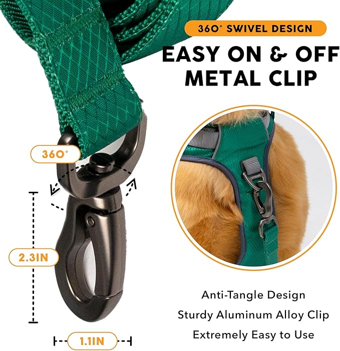 Embark Adventure Dog Leash – Strong & Sturdy for Small, Medium & Large Dogs (Green, 5 Ft)
