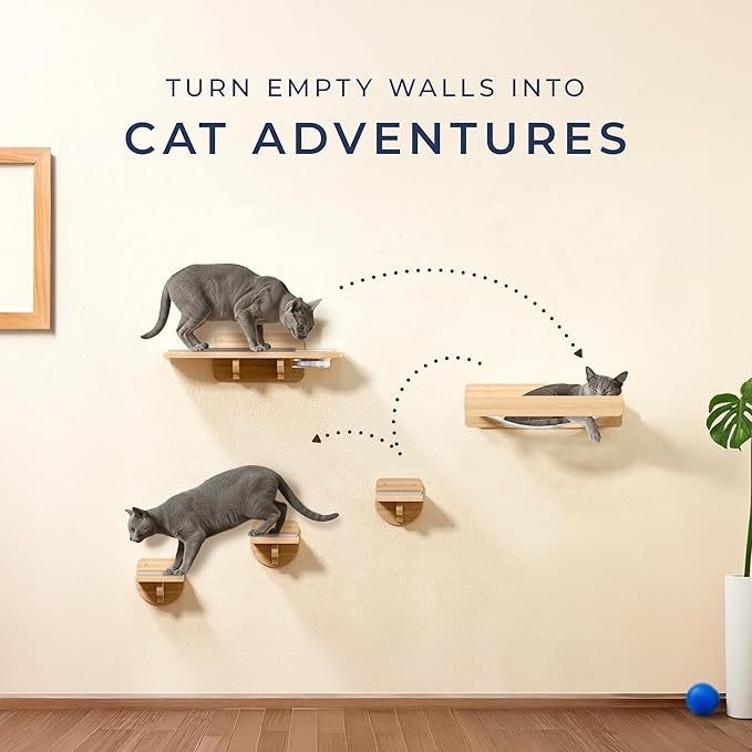 Space-Saving Cat Wall Shelves – Interactive Cat Wall Climber with Hammock & Dog Proof Feeding Station for Small & Medium Indoor Breeds – Solid Natural Wood with Beige Carpet