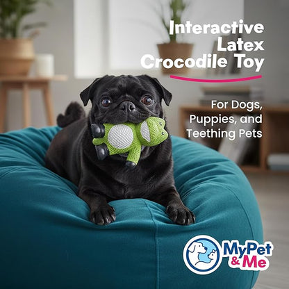 My Pet & Me - Squeaky Dog Toys for Light to Moderate Chewers - Fun Latex Toys for Puppies, Teething, and Gentle Play - Interactive Fetch and Chew Toy with Squeaker