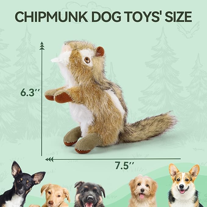 ALL FOR PAWS Squirrel Squeaky Doy Toy, Squirrel Dog Toy for Small Medium Breed, Puppy Fetch Toy with Squeaker, Plush Chew Dog Toy, 5.9 x 4.3 x 2.8 inches, Classic-Chipmunk S