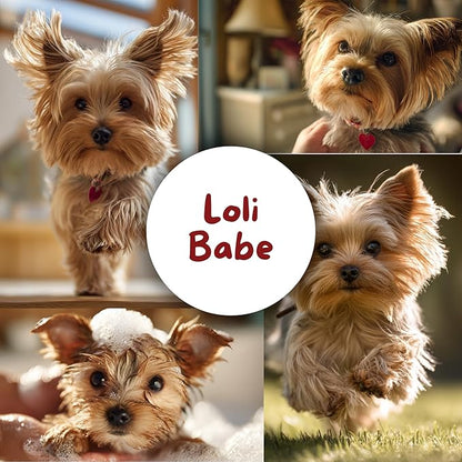 lolita's paws Loli Babe Feminine Dog Cologne – Deodorizing Pet Spray for Dogs, Softens & Conditions Coat, Fresh Scent, 8 oz, Made in USA, For Her