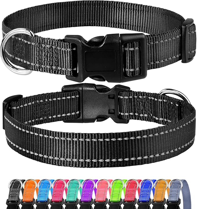 FunTags Reflective Dog Collar, Sturdy Nylon Collars for Puppy and Extra Small Girl and Boy Dogs, Adjustable Dog Collar with Quick Release Buckle,Black,5/8" Width