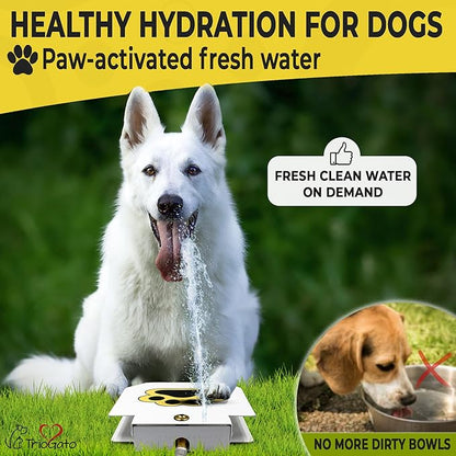 Trio Gato's Outdoor Dog Water Fountain Step On, Dog Sprinkler Paw Activated, Drinking Pet Dispenser, Provides Fresh Water, Sturdy, Easy to Use