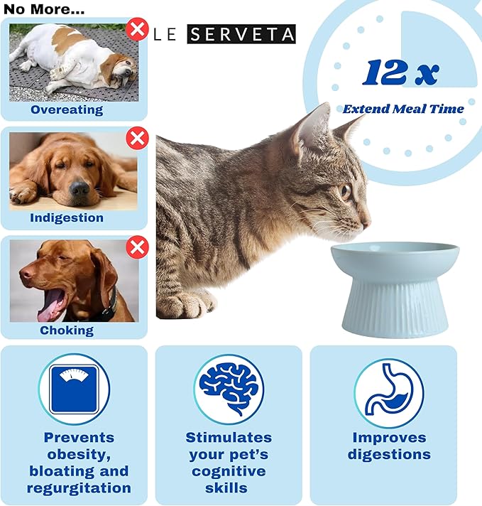 2 Pack Ceramic Slow Feeder Cat Bowl, Raised Puzzle Feeder, Anti-Vomiting, Elevated Food Bowl, Whisker Friendly (White, Blue)