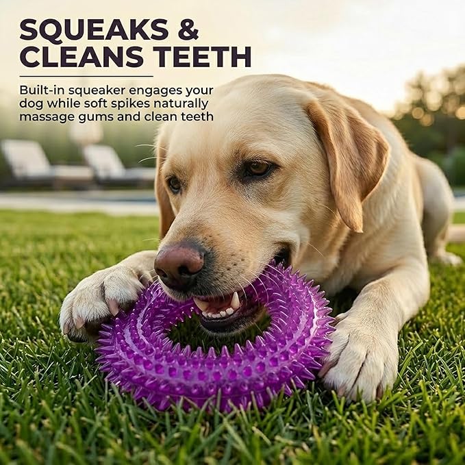 ADUCK Dog Squeaky Chew Toys for Aggressive Chewers, Small Medium Large Dogs Teeth Cleaning Soft Natural Rubber Float Toy for Indoor Outdoor Water Pool, Donut Ring Design 4.92 inch, Crystal Purple