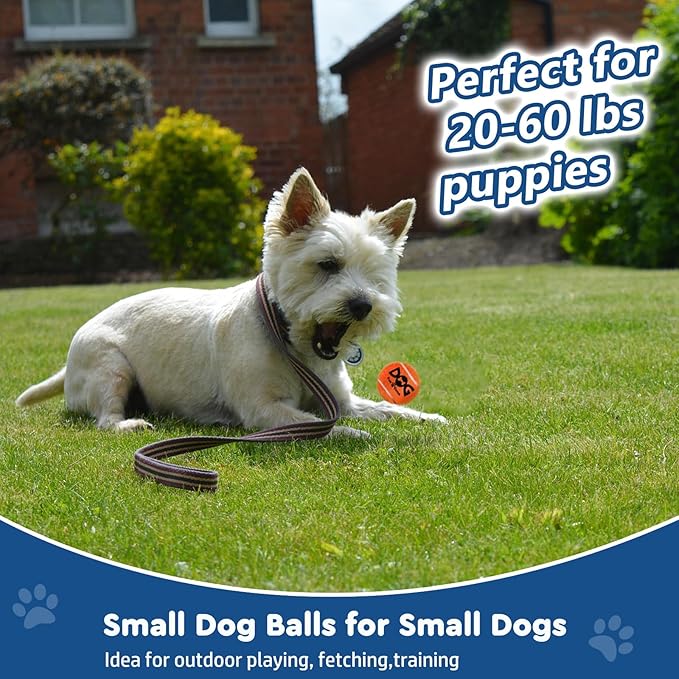 Small Tennis Balls for Dogs - 6 Pack 2.0" Squeaky Dog Balls for Small Breed, SGS Certified Non-Toxic, Interactive Fetch Toys, Perfect for Outdoor & Indoor Play