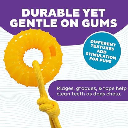 Outward Hound Gummiez Peach Ring 2-in-1 Dental Dog Chew Toy and Treat Stuffer Game, Peach Scent