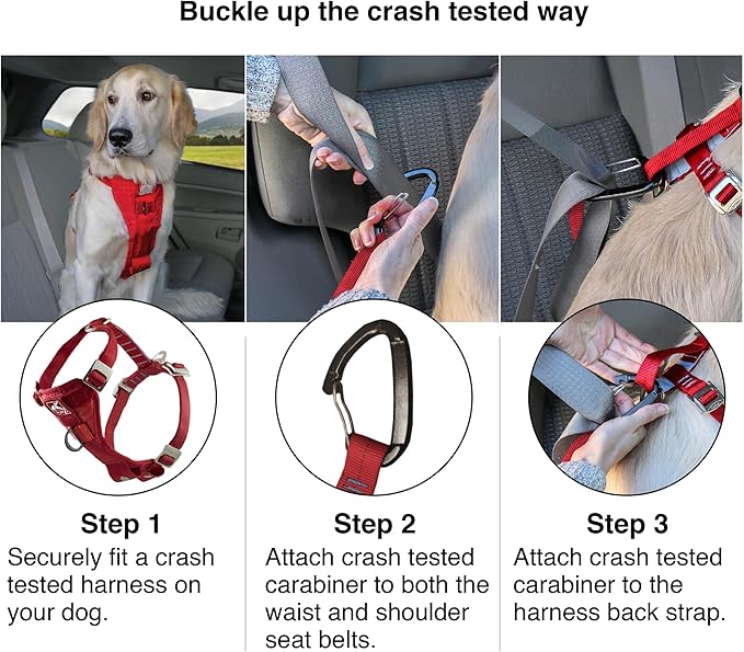 Kurgo Enhanced Strength Tru-Fit Dog Car Harness - Pet Travel Safety Harness - Crash Test Certified Fit - Five Point Adjustment - Secure Buckle - Padded Chest - Black - Large