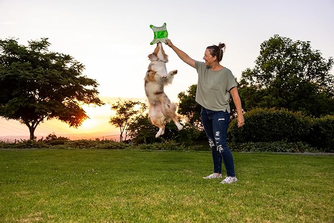 Chuckit! Flying Glow Squirrel Fetch Dog Toy, (10.5 Inch Length), Glow in the Dark Dog Toy, Pack of 1, Size Medium, for All Breeds and Sizes