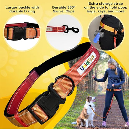 Hands-Free Leash for Small to Large Dogs 5ft - Heavy Duty Adjustable Waist Belt, Padded Handles, Reflective Stitching, Satin Carry Bag for Walking, Running, Hiking