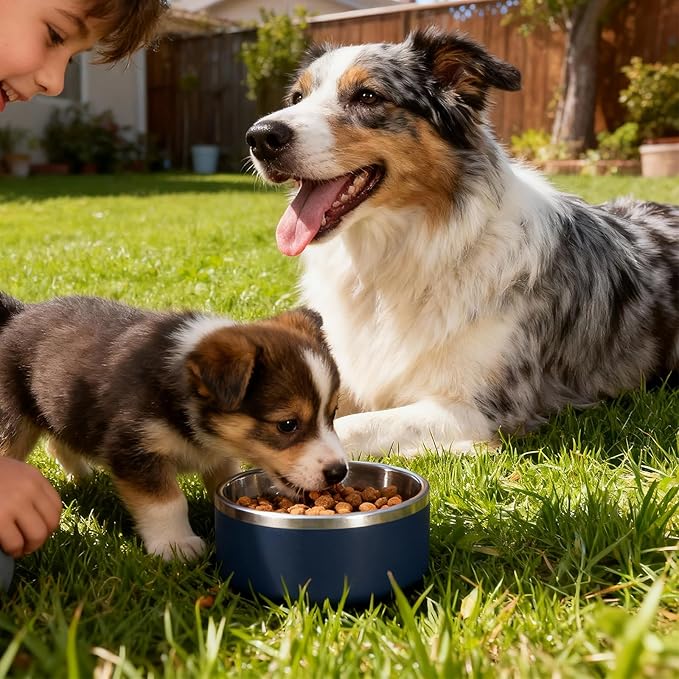 Dog Bowl, Stainless Steel Dog Bowls for Food and Water, Metal Pet Feeding Bowl with Insulated Non-Slip Quiet Bottom, Easy to Clean, Dishwasher Safe, 32oz,4 Cup | Navy