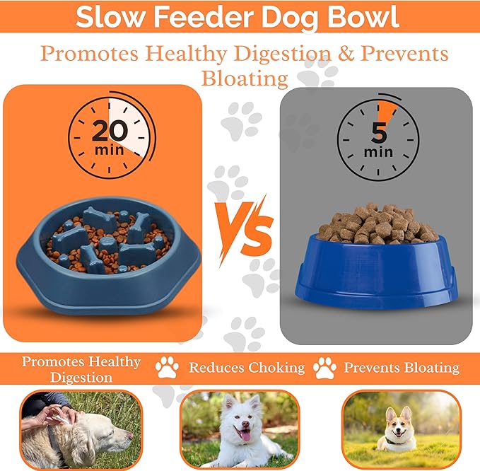 Slow Feeder Dog Food Bowl – Bowl Designed to Slow Eating, Promotes Healthy Digestion and Prevents Bloat, Ideal for Cats and Dogs (Red)