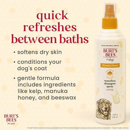Burt’s Bees for Pets Manuka Honey Waterless Shampoo Spray for Dogs with Kelp, 10 Fl Oz