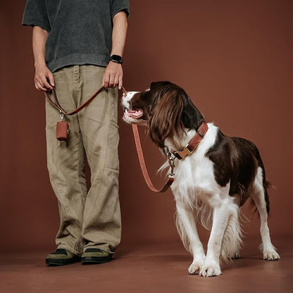 Didog PU Leather Dog Leash for Small Dogs 4.5ft, Soft Padded Handle Dog Leashes for Medium Size, Walking and Training Leashes Faux Leather for Large Pet,Reddish Brown